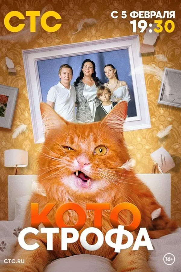 Картинка к «Котострофа 1-2 сезон (2023)»