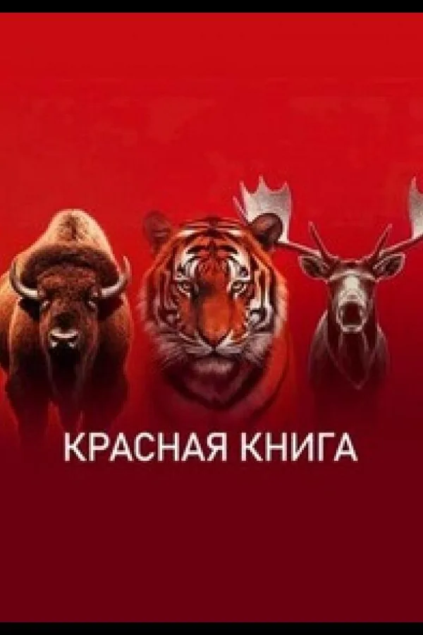 Картинка к «Красная книга 1 сезон (2022)»