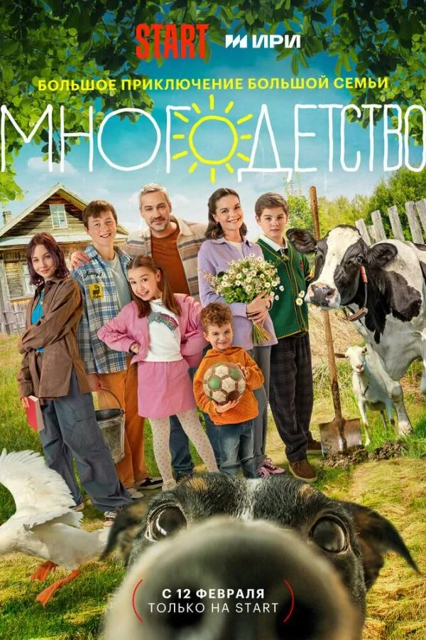Постер к «Многодетство 1 сезон (2024)»