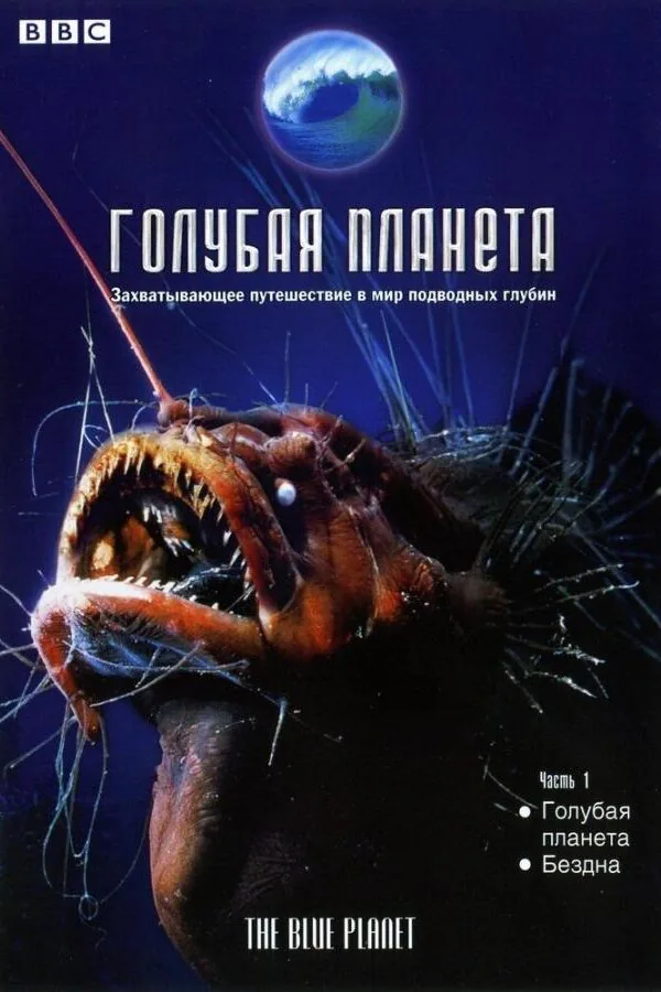 Картинка к «BBC: Голубая планета 1 сезон (2001)»