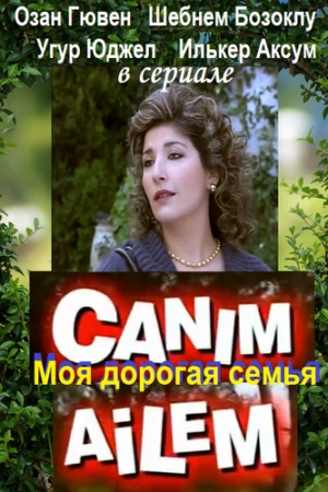 Постер к «Дорогая моя семья 1 сезон (2008)»