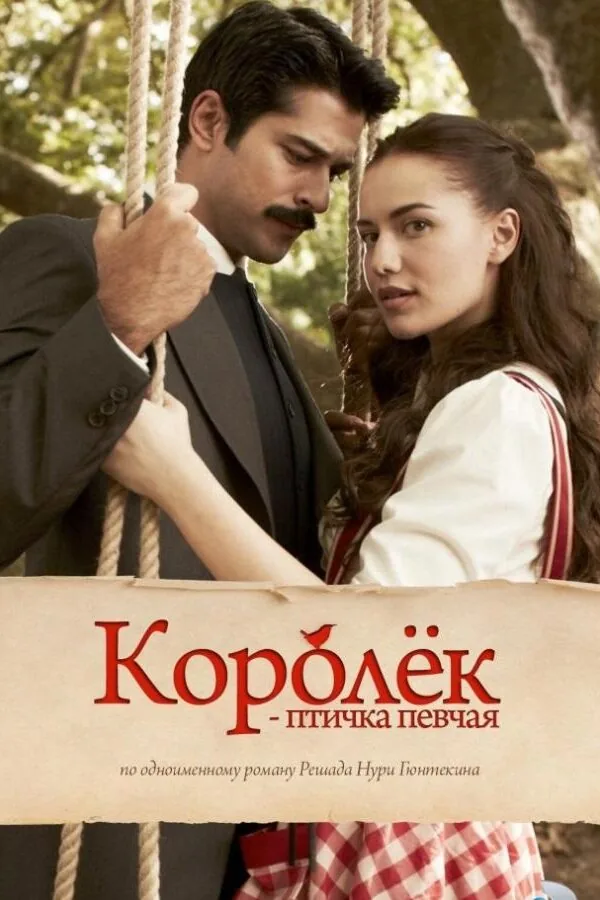 Постер к «Королёк – птичка певчая 1 сезон (2013)»
