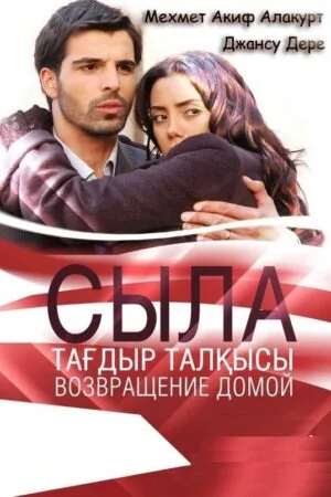 Постер к «Сыла. Возвращение домой 1-3 сезон (2006)»