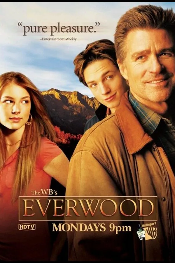 Постер к «Любовь вдовца 1-4 сезон (2002)»